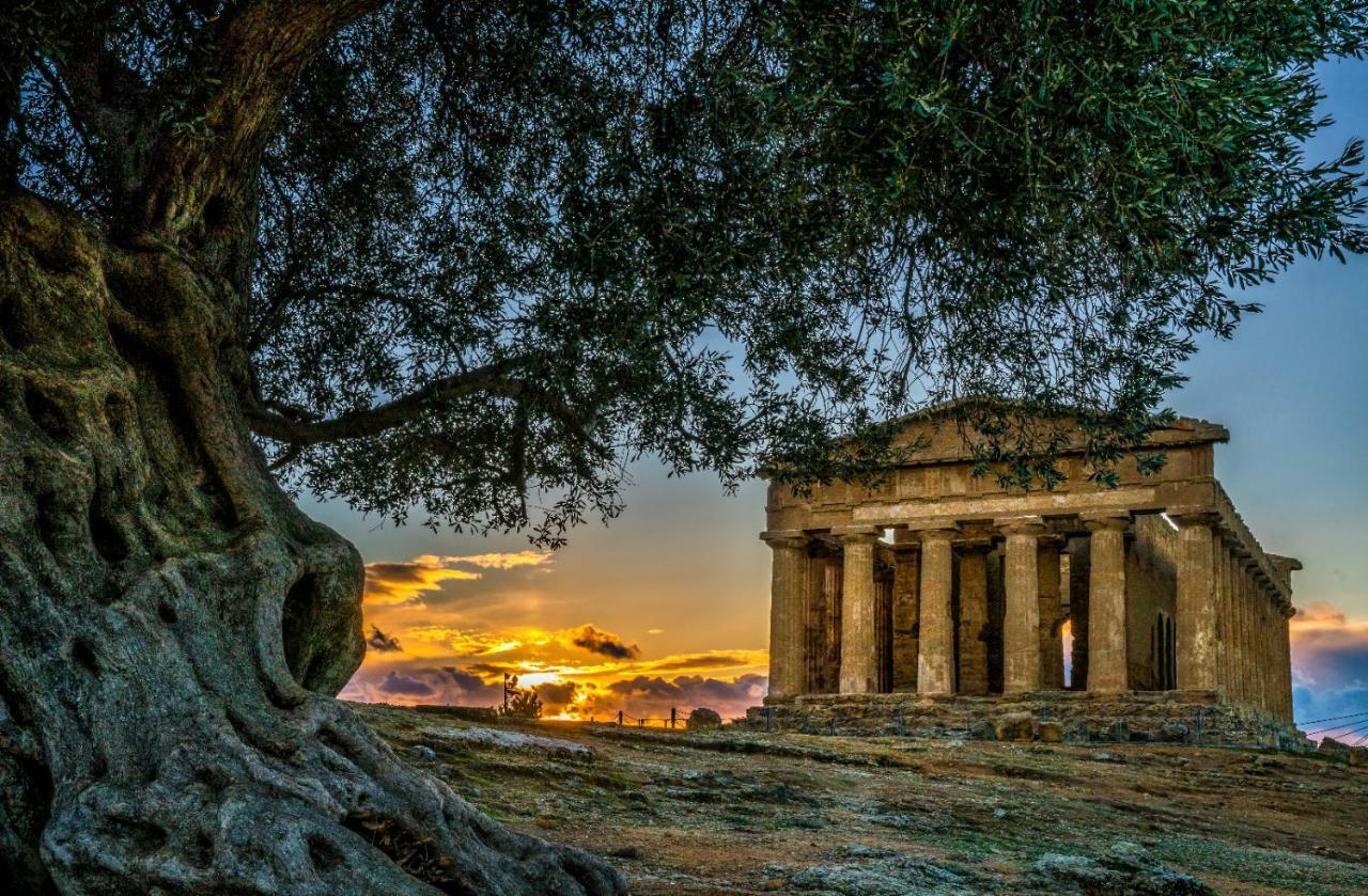 Sicilia Case Vacanze Balestrate Dış mekan fotoğraf